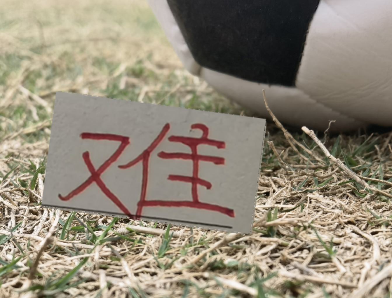 世俱杯-疲劳度加满！再加遇旧人徐新 卫冕冠军周末战云南 能避免两连败吗